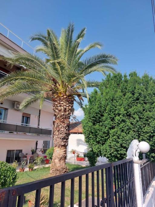 Studio Με Όλες Τις Ανέσεις Vétrina Exteriör bild